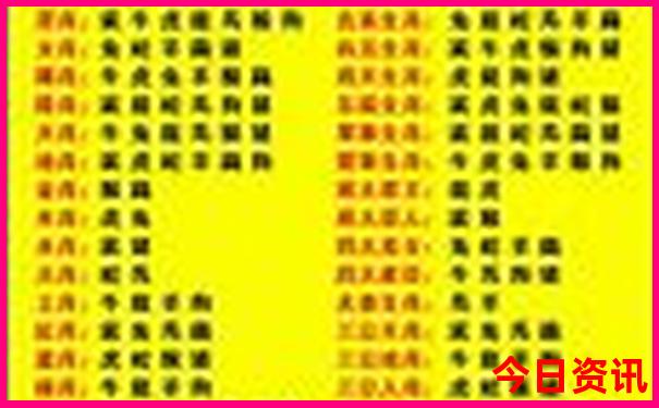 跑男贵阳去了哪些地方